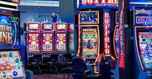 lptbet178